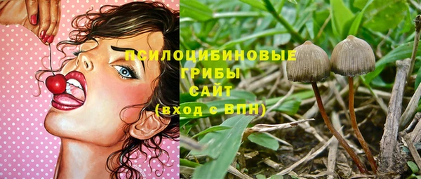 не бодяженный Аркадак