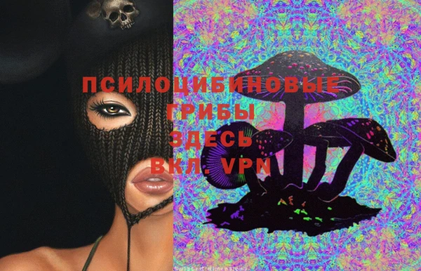 mdpv Арсеньев