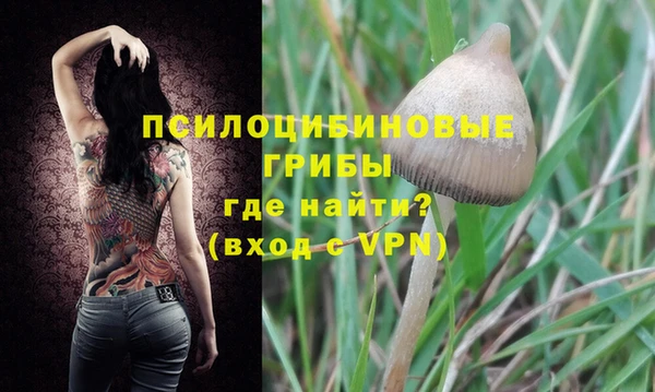 mdpv Арсеньев