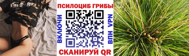 Галлюциногенные грибы ЛСД  Белокуриха 